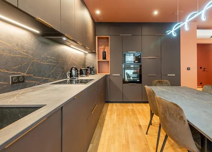 Apartment L'oasis T3 Centre Annecy